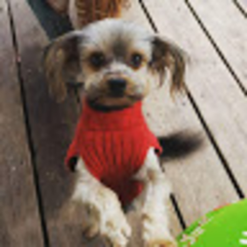 Meet your Posher, Me